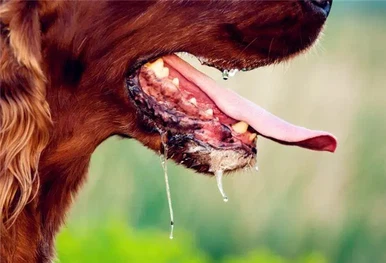 Scopolamine use Scopolamine use