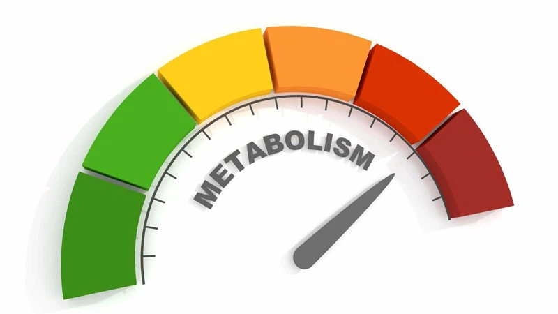 Retatrutide 10mg Retatrutide 10mg