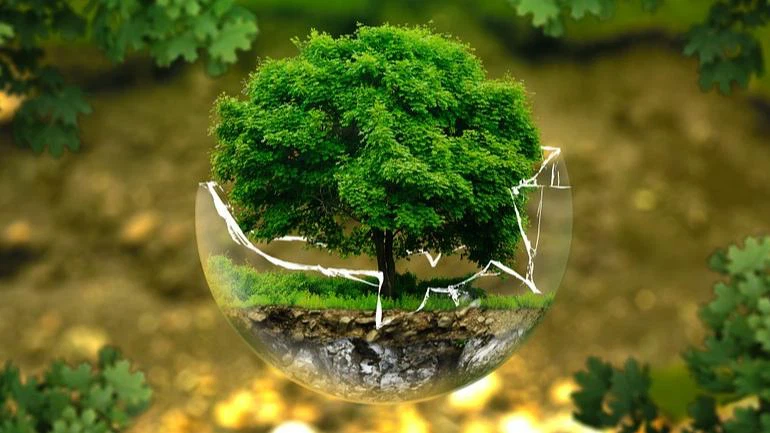 Sodium Methanesulfinate suppliers CAS 20277-69-4 | Shaanxi BLOOM Tech Co., Ltd Sodium Methanesulfinate suppliers CAS 20277-69-4 | Shaanxi BLOOM Tech Co., Ltd
